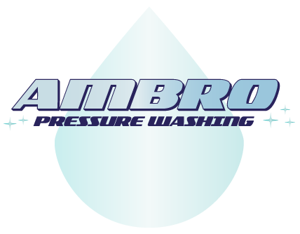 //ambropressurewashing.com/wp-content/uploads/2021/06/logo2-1.png
